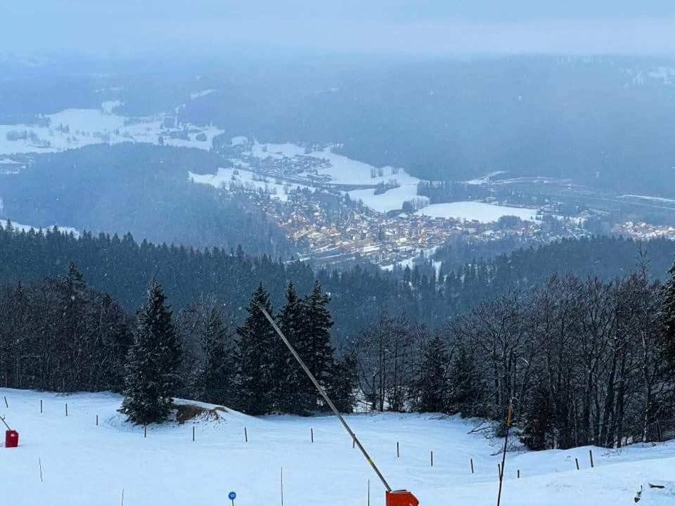 VIP Place Family Alti1000 Télésiège Métabief Avec jardin privé à 50 M des pistes Esterno foto